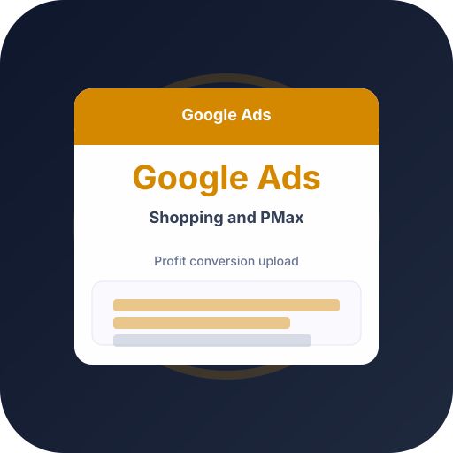 Google Ads POAS — Profit Upload & tROAS — POAS profit bidding and ecommerce Google Ads guide by Profit Bid
