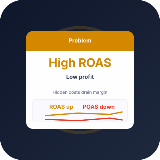 High ROAS but Losing Money? Here's Why High ROAS but Losing Money? Here's Why — POAS profit bidding and ecommerce Google Ads guide by Profit Bid