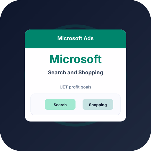 Microsoft Ads POAS — Bing & Shopping Profit — POAS profit bidding and ecommerce Google Ads guide by Profit Bid